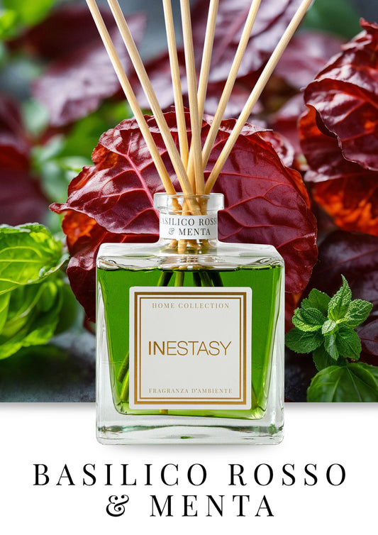 Basilico Rosso e Menta