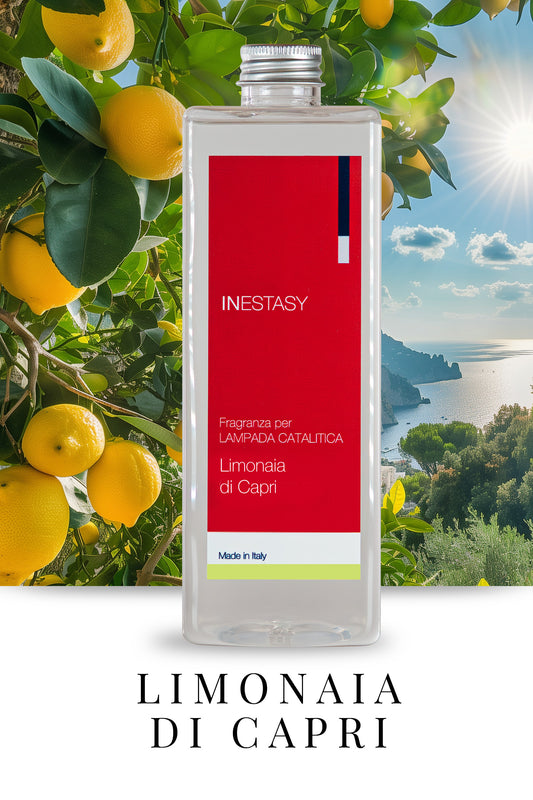 Ricarica Lampada Catalitica - Limonaia di Capri